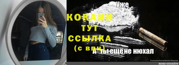 соль ск Арсеньев