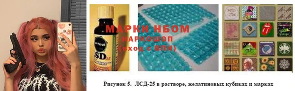 каннабис Аркадак