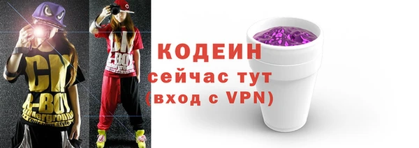 соль ск Арсеньев