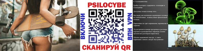 Псилоцибиновые грибы Psilocybine cubensis Буй